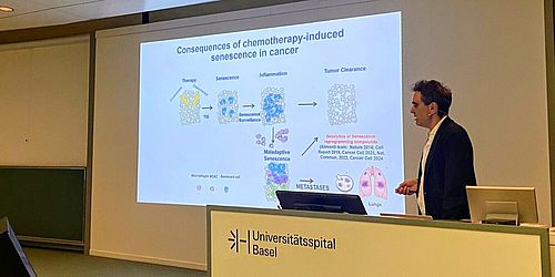 image from a presentation